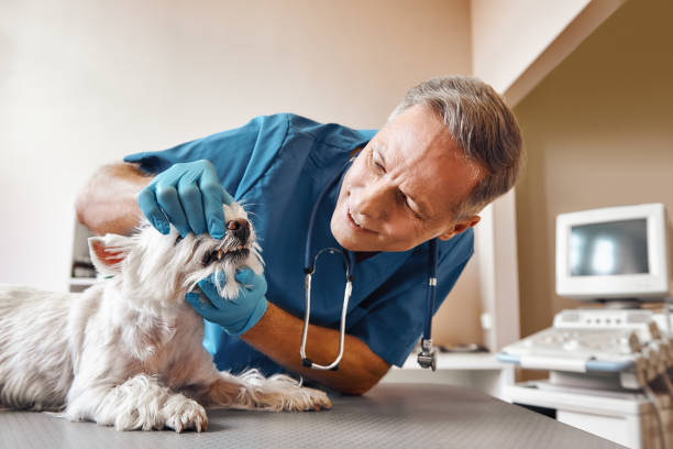 Best Same-Day Emergency Appointments in Gladeview, FL
